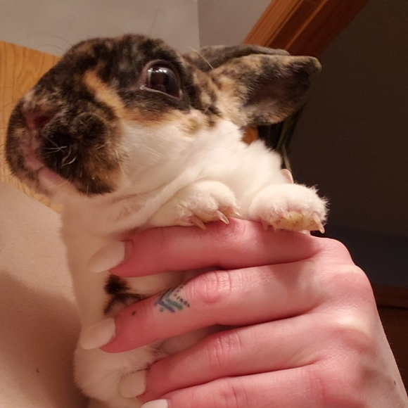 Eclectics Avenue 》 Whitney Buesser - Picture 5 of 8